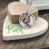 Puck, Chip, Chestnut - Image 4
